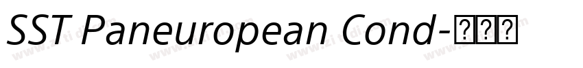 SST Paneuropean Cond字体转换